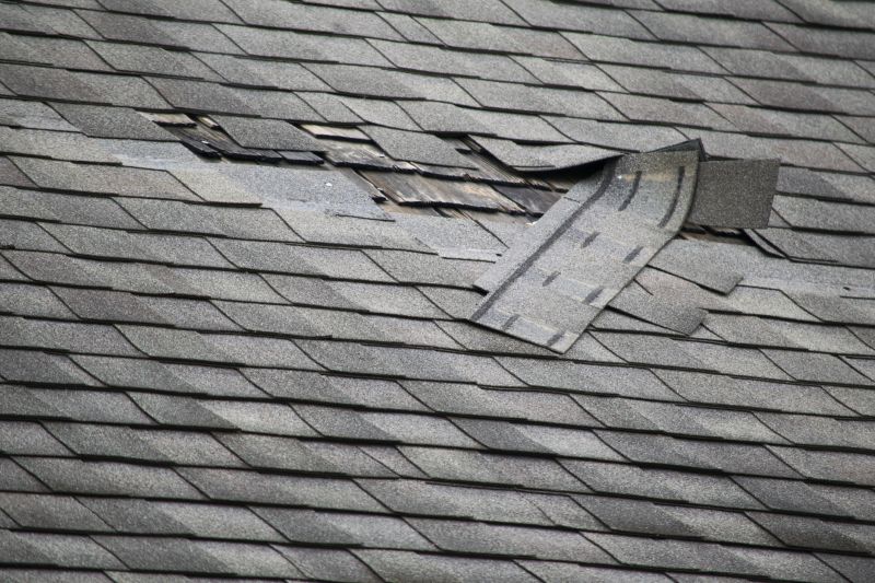Roof Leak Detection Service