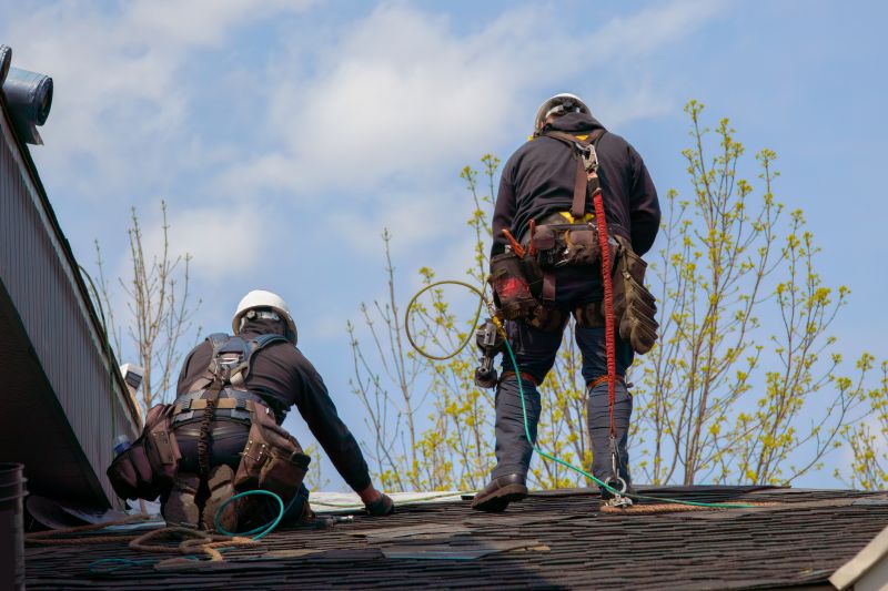 Roofing Professionals at Work